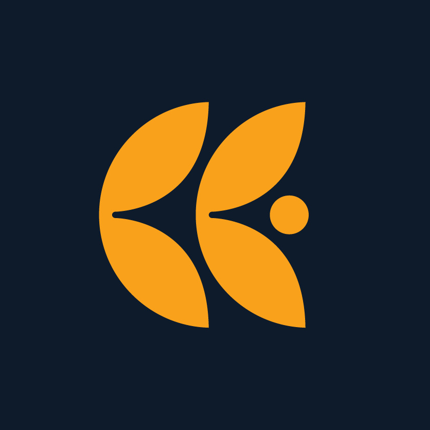 Logo Design for Camille Elyse