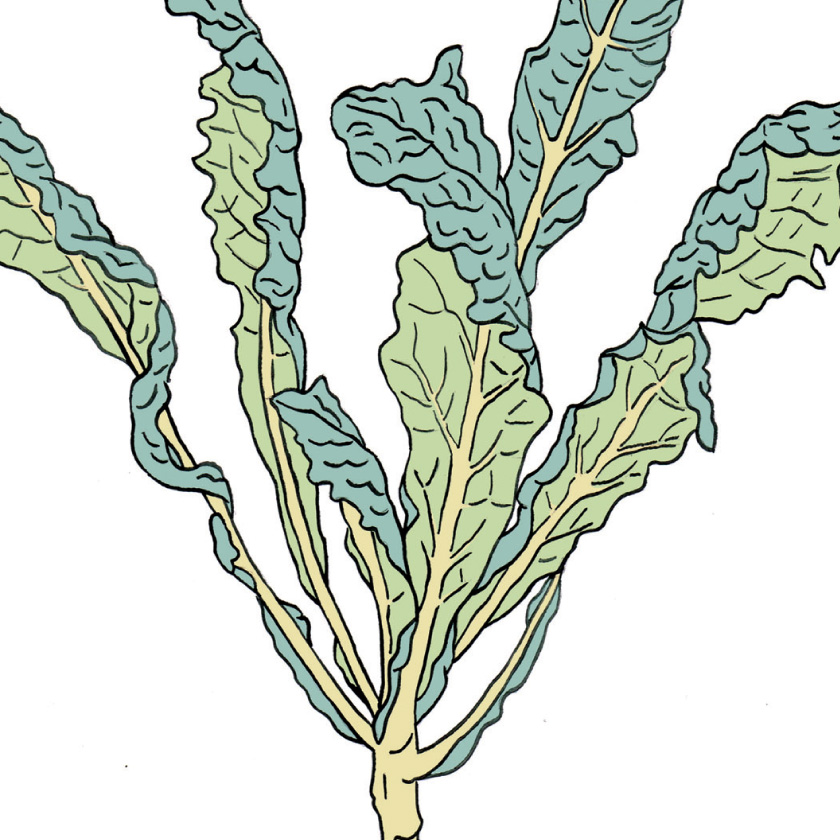 Illustration for The Red Door